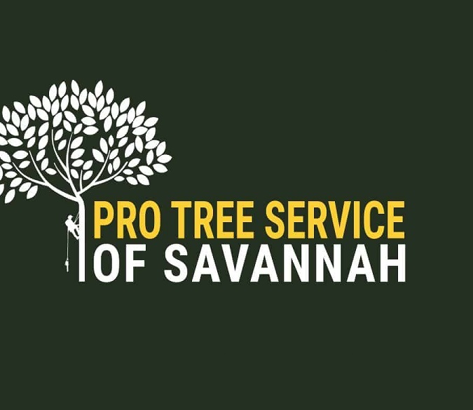  Profile Photos of Pro Tree Service of Savannah 100 Bull St - Photo 1 of 1