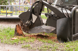 Pro Tree Service of Savannah, Savannah