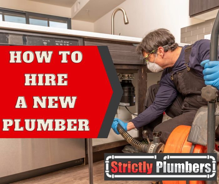  New Album of Strictly Plumbers Suite G. 779 3rd Ave - Photo 17 of 17