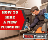  Strictly Plumbers Suite G. 779 3rd Ave 