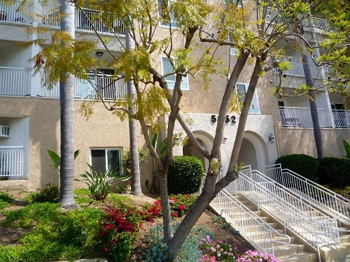  New Album of Utopia Property Management Elk Grove 9129 Elk Grove Blvd - Photo 12 of 16