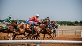 Horse Racing Holidays, Newcastle-under-Lyme