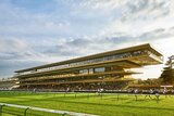 Horse Racing Holidays, Newcastle-under-Lyme