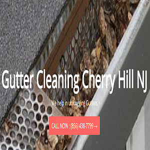  Profile Photos of Gutter Cleaning Cherry Hill Cherry Hill - Photo 1 of 1