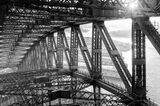 Matt Pearson, Sydney