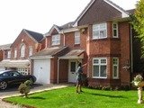 Wilsons Window Cleaning, Wilsons Window Cleaning, Morden