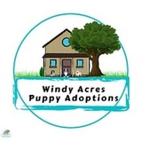 Windy Acres Puppy Adoptions, Atwood