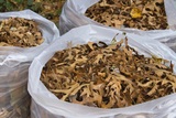 House Clearance Ltd., London