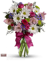 Terri's Eustis Flower Shop, Eustis