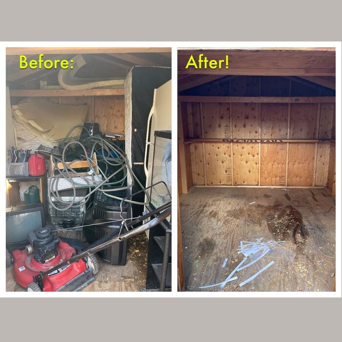  New Album of Moon Junk Removal 368 Kitfield View - Photo 10 of 16
