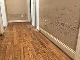 Y&NwaterDamage, Stamford