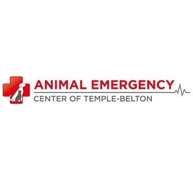  Profile Photos of Animal Emergency Center of Temple-Belton 3809 South General Bruce Drive - Photo 1 of 1