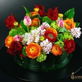  NYC Sunflowers Delivery 1381-1399 Ave Of The Amer 