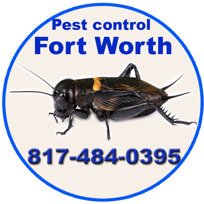  Profile Photos of Pest Control Fort Worth 3515 Sycamore School Rd - Photo 5 of 9
