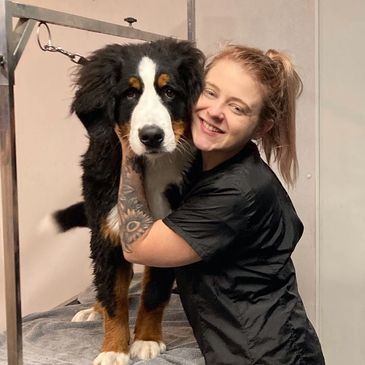  Bestie's Pet Spa & Cuisine of Besties Pet Spa & Cuisine 10 Ridley Street - Photo 1 of 5