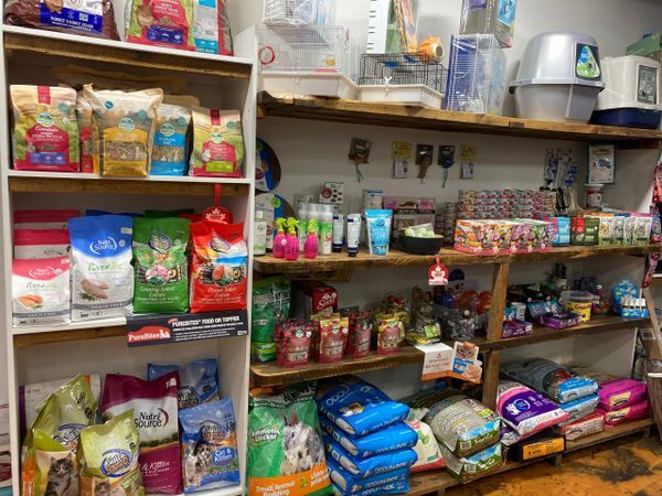 Bestie's Pet Spa & Cuisine of Besties Pet Spa & Cuisine 10 Ridley Street - Photo 5 of 5