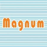 Magnum TeleSystem, New Delhi, India