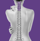 Low Back Pain Muscle, Hazlet