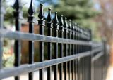 Savannah Fencing Masters, Savannah