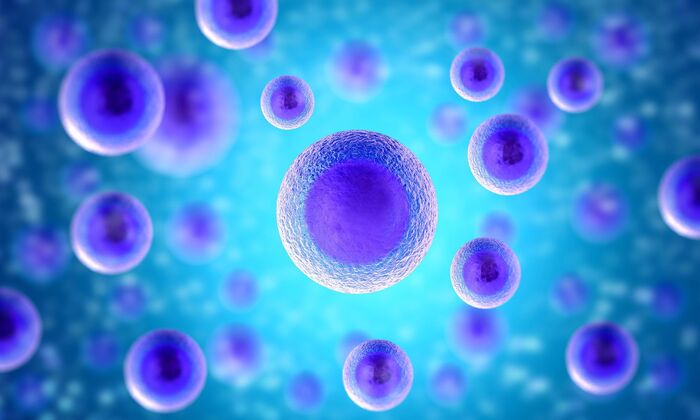 Stem Cell NZ New Album of NZ Stem Cell Treatment Centre 11 McBride St - Photo 1 of 3