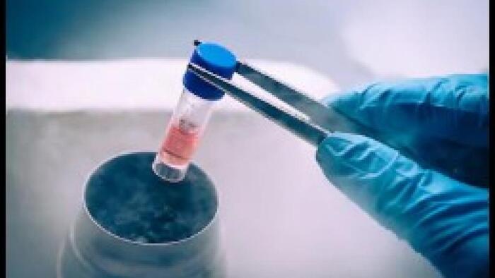 Stem Cell Treatment NZ New Album of NZ Stem Cell Treatment Centre 11 McBride St - Photo 3 of 3