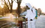 Pro Pest Control Gold Coast, Arundel, Qld 4214