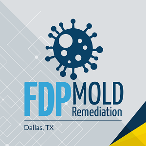  Profile Photos of FDP Mold Remediation 2611 Ross Ave - Photo 1 of 1