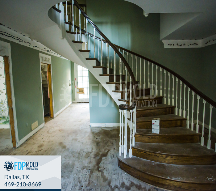  New Album of FDP Mold Remediation 2611 Ross Ave - Photo 1 of 6