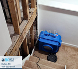  FDP Mold Remediation 2611 Ross Ave 