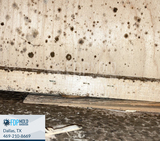  FDP Mold Remediation 2611 Ross Ave 