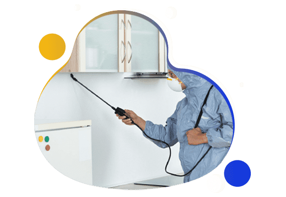  Profile Photos of Bed Bug Control Adelaide 4/11 Winifred St - Photo 1 of 1
