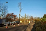 Tr33 Ltd, Cardiff