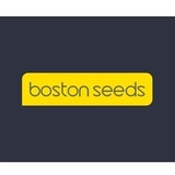 Boston Seeds, Kirton