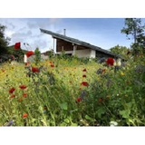 Boston Seeds, Kirton