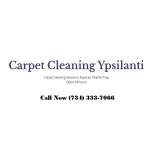  Profile Photos of Carpet Cleaning Ypsilanti 8540 Glendale Dr - Photo 1 of 1