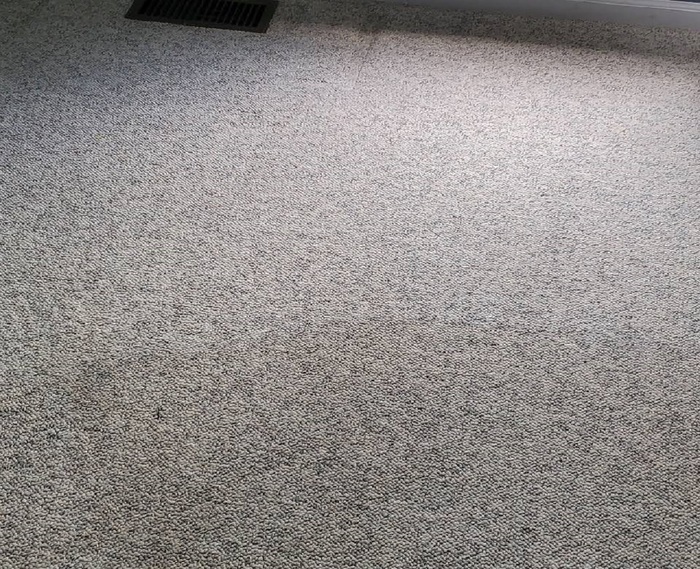  New Album of Carpet Cleaning Ypsilanti 8540 Glendale Dr - Photo 2 of 4