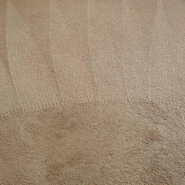  New Album of Carpet Cleaning Ypsilanti 8540 Glendale Dr - Photo 3 of 4
