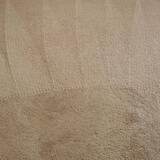 Carpet Cleaning Ypsilanti, Superior Charter Township