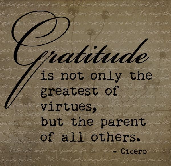  New Album of Gratitude Adjustment 9245 W Hwy 80 - Photo 3 of 3