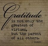  Gratitude Adjustment 9245 W Hwy 80 