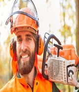 Tree Service San Jose, San Jose
