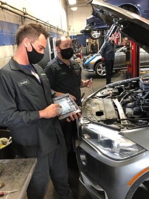  Profile Photos of McNally Auto EuroMechanic 49 Toro Road - Photo 4 of 4