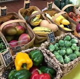  Green 4 Life Farmers Market 3375 Roosevelt Hwy Suite F 