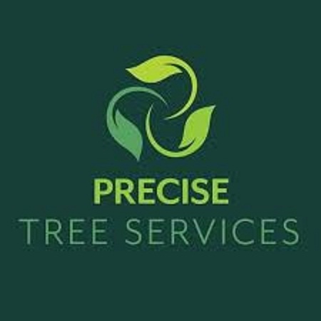  Profile Photos of Precise Tree Services Pty Ltd. 40 Windella Ave - Photo 1 of 1
