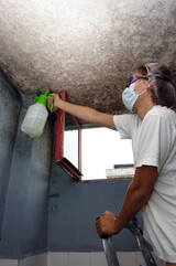 Las Vegas Mold Remediation Co., Las Vegas