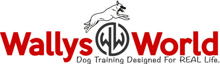  Profile Photos of Wallys World of Dogs: Long Island Dog Training - - Photo 1 of 1