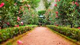 Wollongong Lawn Mowing, Corrimal
