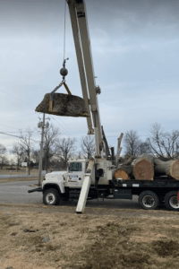  Profile Photos of Las Cruces Tree Service 11930 Robledo Vista Rd - Photo 3 of 4