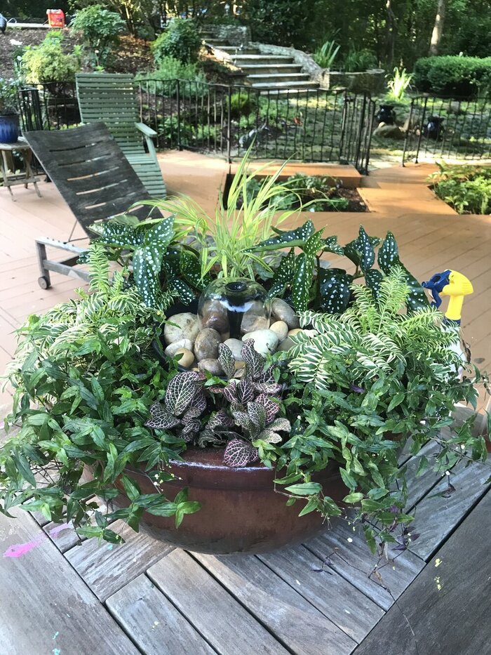  Profile Photos of Modern Plant Creations - - Photo 1 of 5
