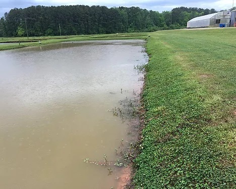 Fishery Research Center New Album of Flexamat 3153 Madison Rd - Photo 10 of 17